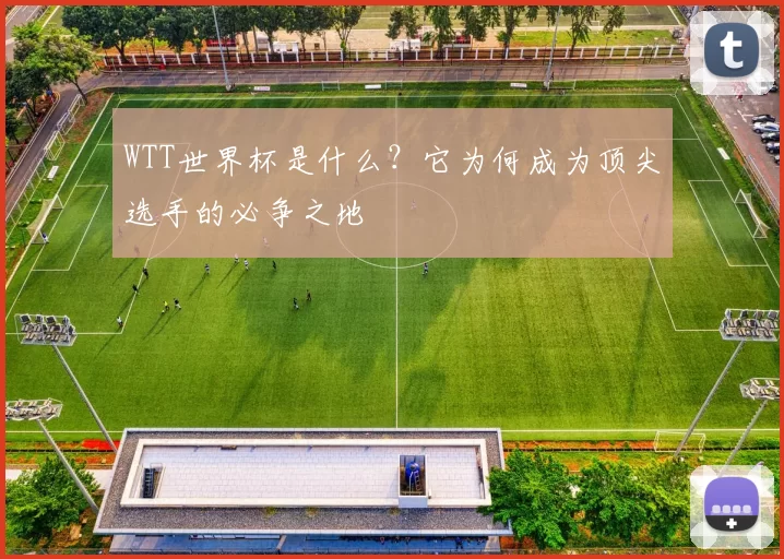 WTT世界杯是什么？它为何成为顶尖选手的必争之地