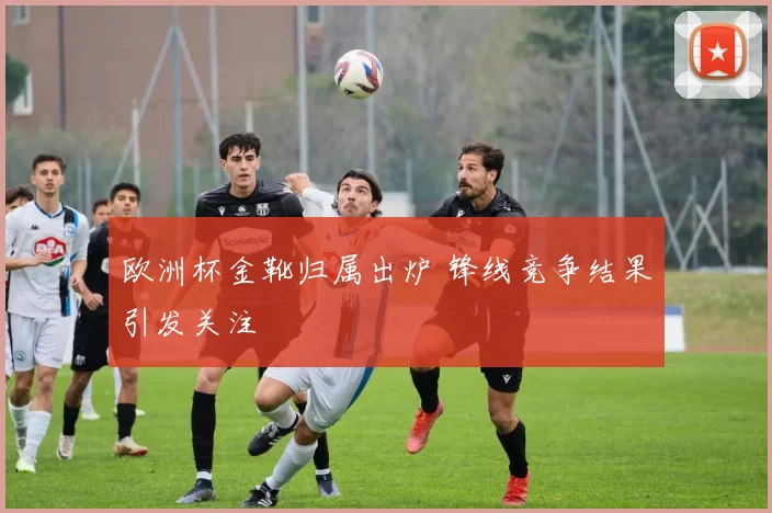 欧洲杯金靴归属出炉 锋线竞争结果引发关注