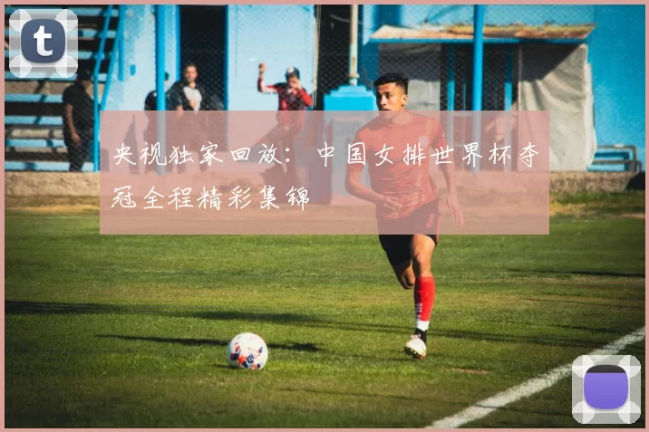 央视独家回放:中国女排世界杯夺冠全程精彩集锦