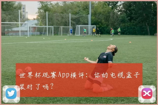 世界杯观赛App横评：你的电视盒子装对了吗？