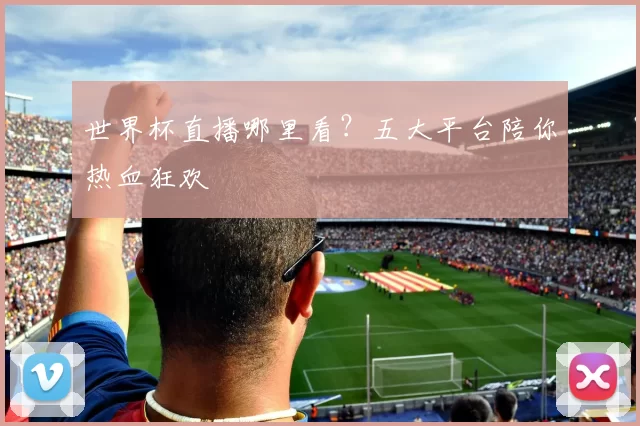 世界杯直播哪里看？五大平台陪你热血狂欢
