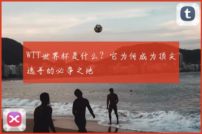 WTT世界杯是什么?它为何成为顶尖选手的必争之地