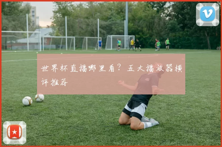 世界杯直播哪里看？五大播放器横评推荐