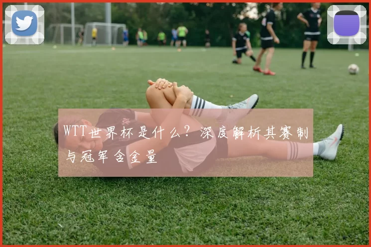 WTT世界杯是什么?深度解析其赛制与冠军含金量