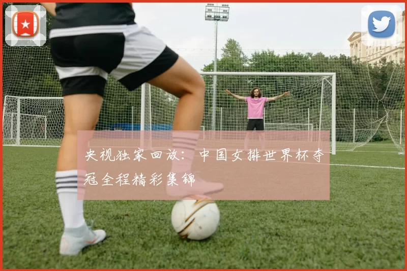 央视独家回放：中国女排世界杯夺冠全程精彩集锦
