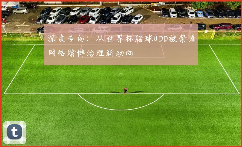 深度专访：从世界杯赌球app被禁看网络赌博治理新动向