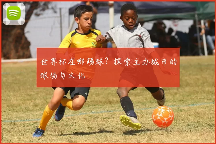 世界杯在哪踢球？探索主办城市的球场与文化