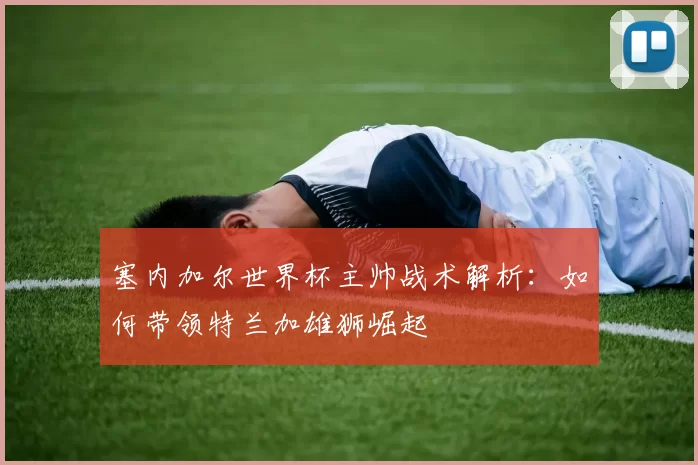 塞内加尔世界杯主帅战术解析：如何带领特兰加雄狮崛起