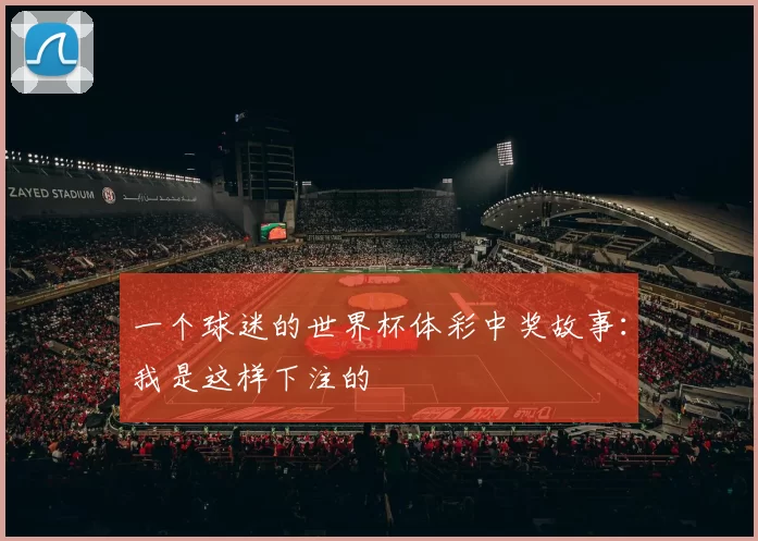 一个球迷的世界杯体彩中奖故事：我是这样下注的