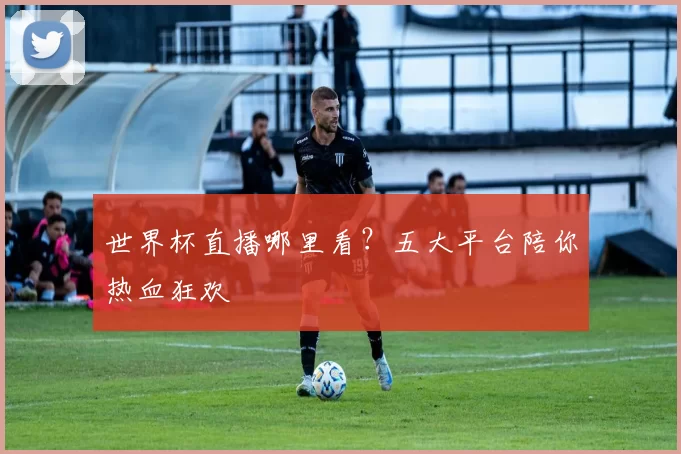 世界杯直播哪里看？五大平台陪你热血狂欢
