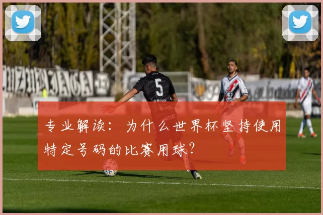 专业解读：为什么世界杯坚持使用特定号码的比赛用球？