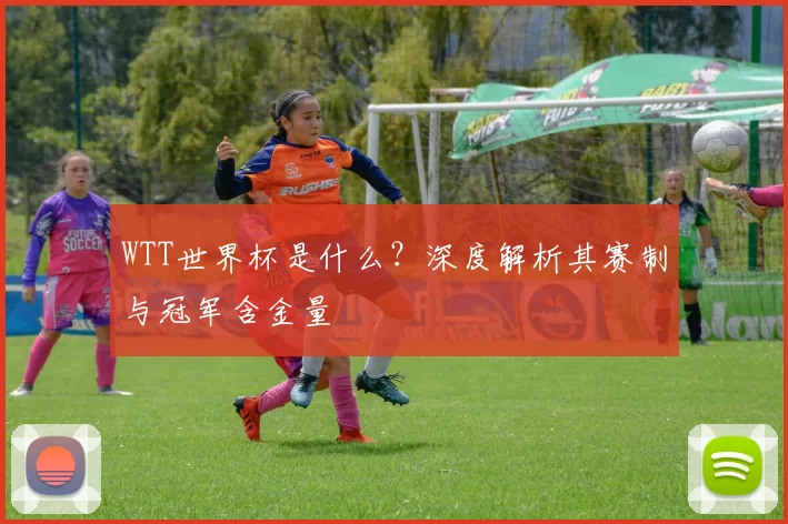 WTT世界杯是什么?深度解析其赛制与冠军含金量
